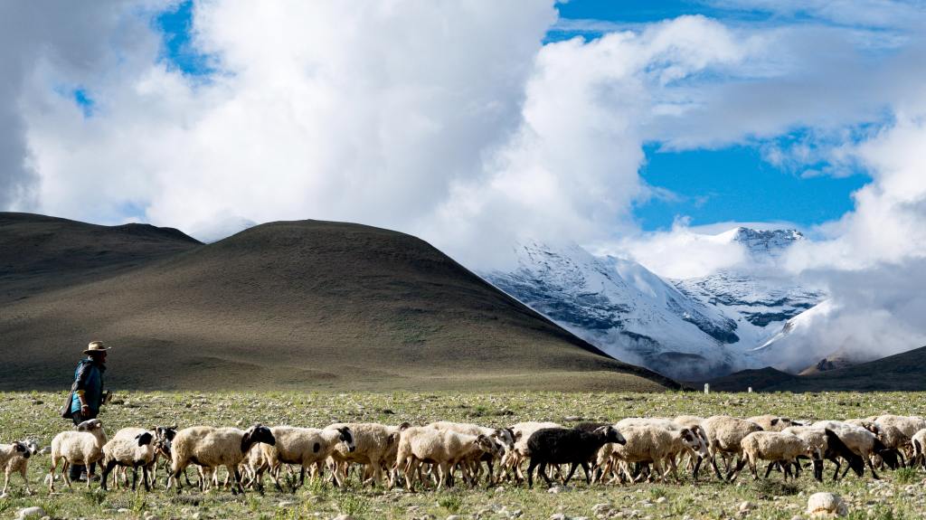 THE LORD IS MY SHEPHERD