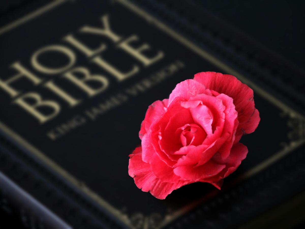 UNDERSTANDING THE BIBLE