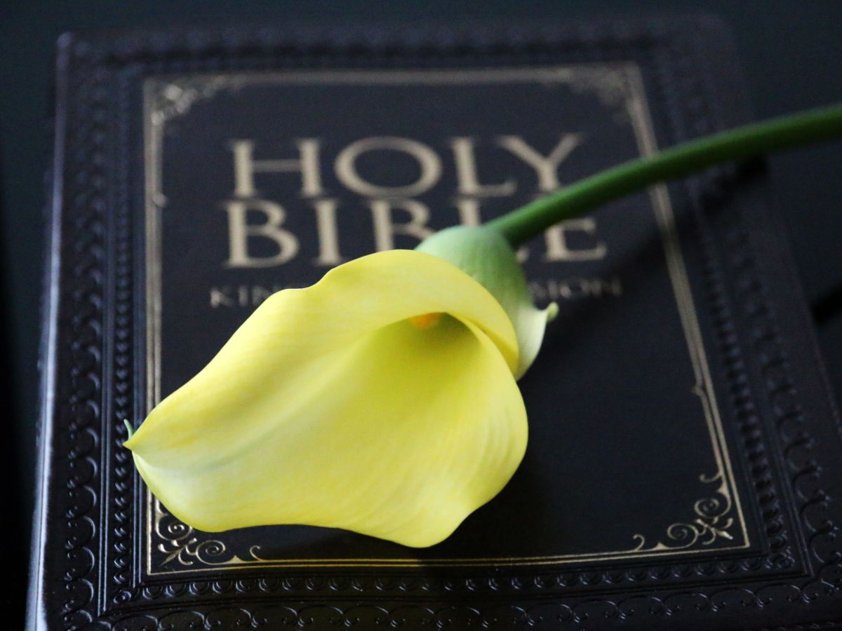DAILY DEVOTIONAL Thursday 3rd September&nbsp;2026